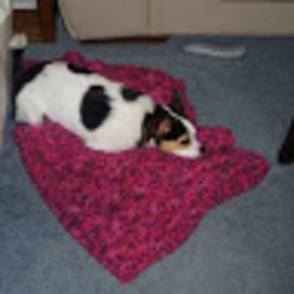 Meet your Posher, Morgen - Picture 1 of 1